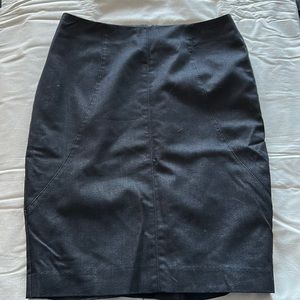 Dana buchman skirt